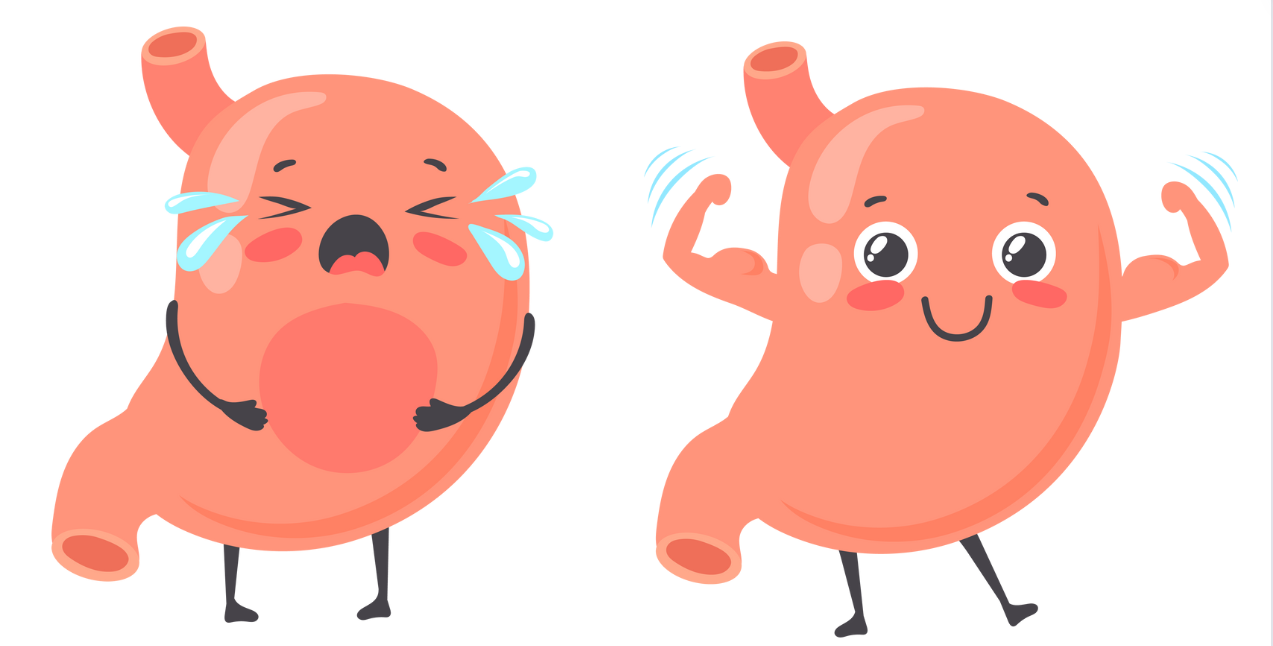 Douleurs gastriques, comment les atténuer ?